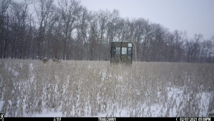 Rutted-Up-Elevated-Hunting-Ground-Blinds-Whitetail-Pictures-003